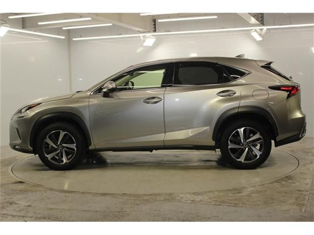 LEXUS NX300h