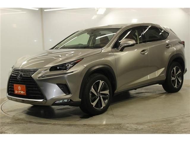 LEXUS NX300h