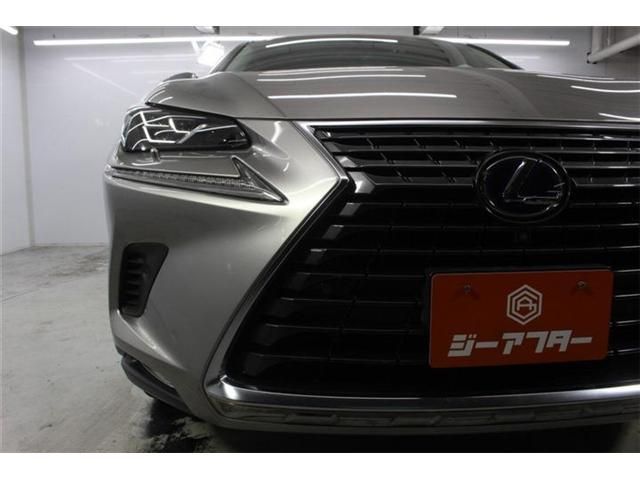 LEXUS NX300h