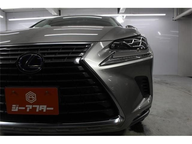 LEXUS NX300h