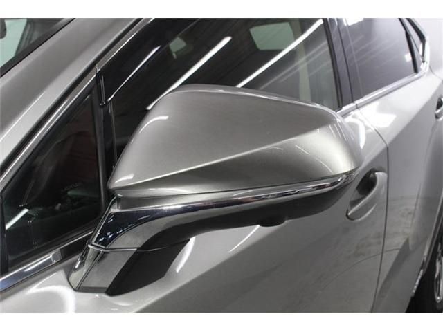LEXUS NX300h