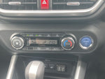 RAIZE HYBRID