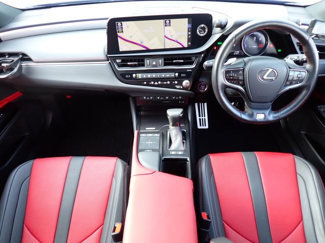 LEXUS ES300h