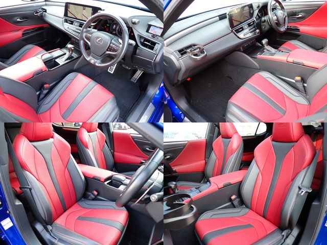 LEXUS ES300h