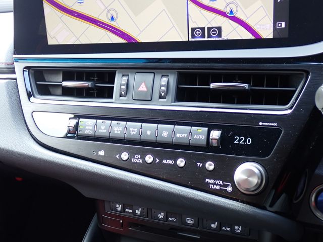 LEXUS ES300h