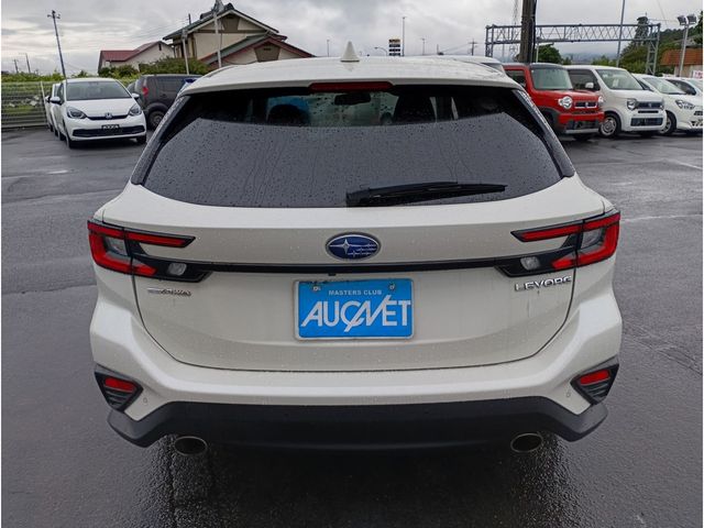 LEVORG