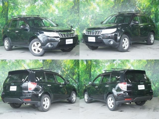 FORESTER