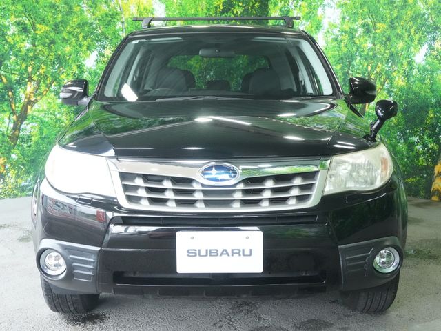 FORESTER