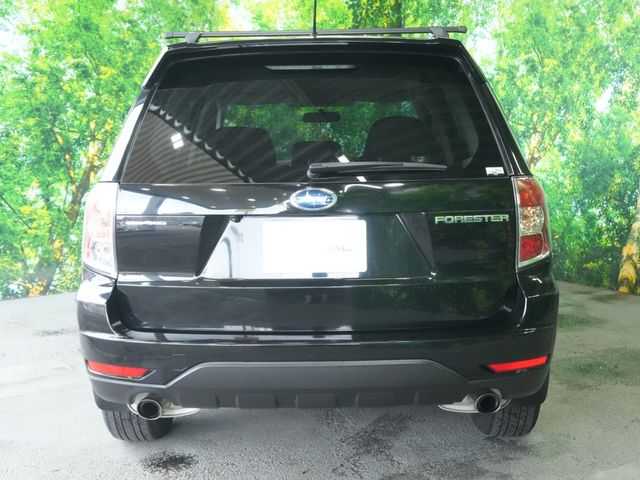 FORESTER