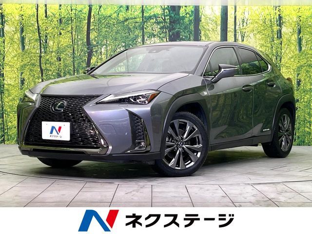 LEXUS UX250h AWD
