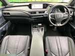LEXUS UX250h AWD