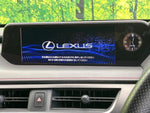 LEXUS UX250h AWD