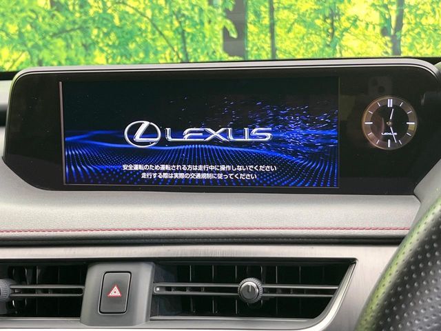 LEXUS UX250h AWD