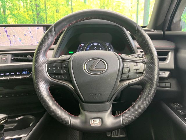 LEXUS UX250h AWD