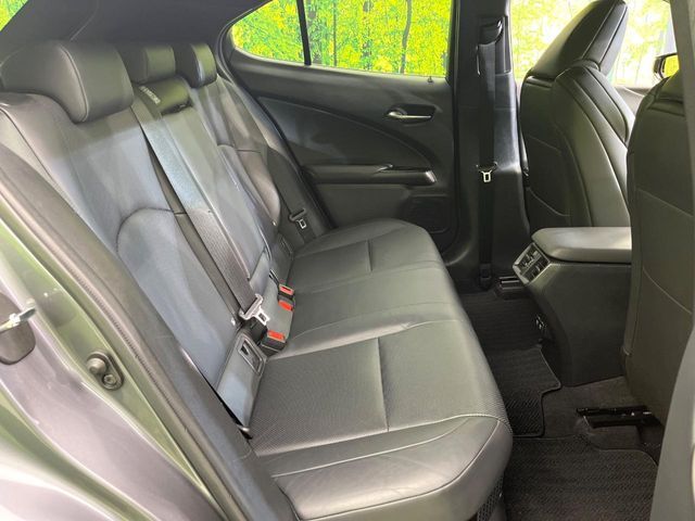 LEXUS UX250h AWD