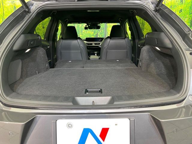 LEXUS UX250h AWD
