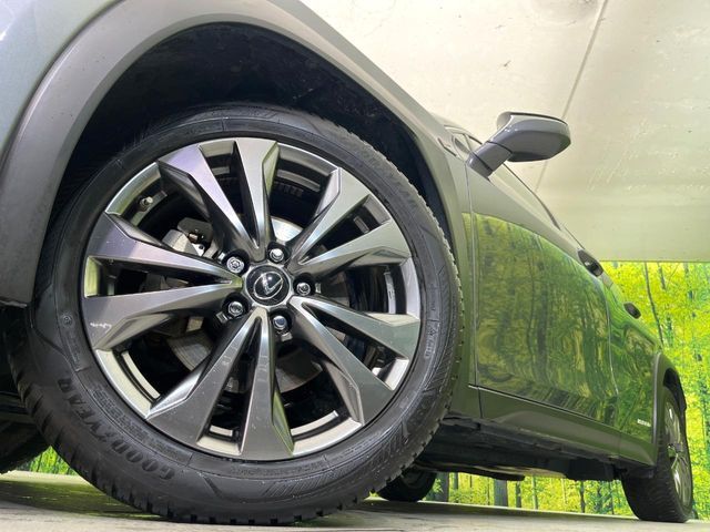 LEXUS UX250h AWD