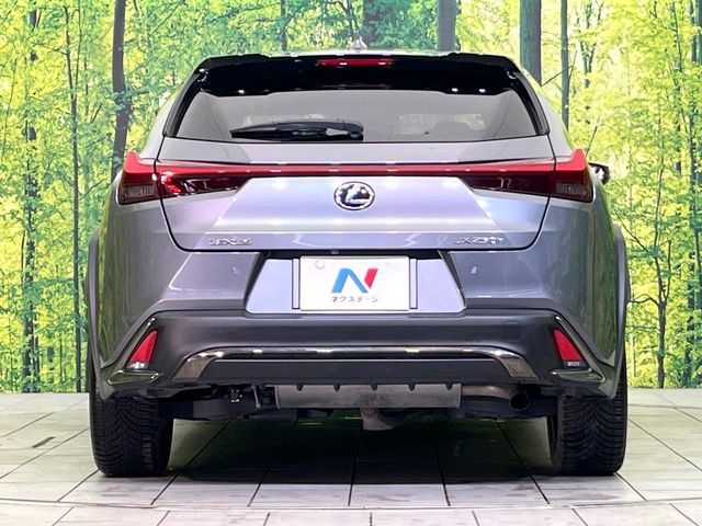 LEXUS UX250h AWD