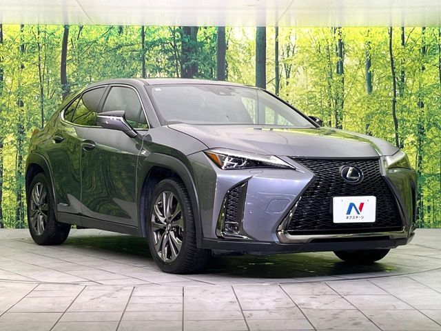 LEXUS UX250h AWD