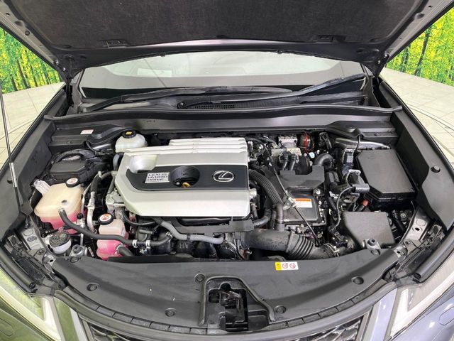 LEXUS UX250h AWD