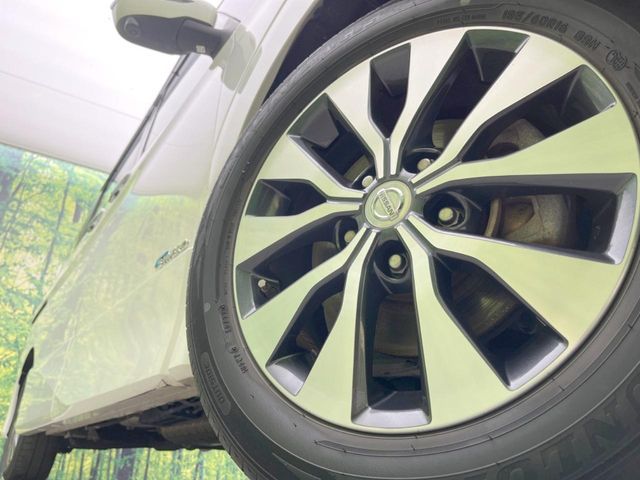 SERENA  S-HYBRID