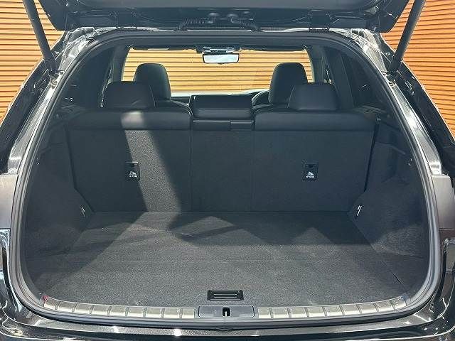LEXUS RX450h+