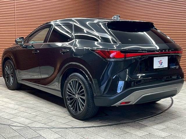 LEXUS RX450h+