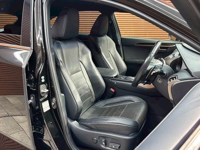 LEXUS NX300h