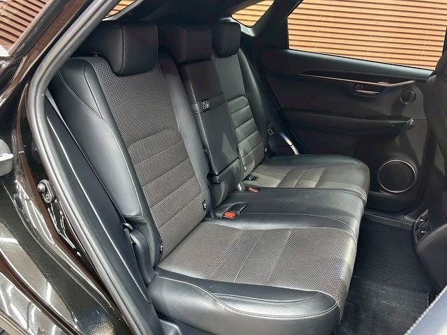 LEXUS NX300h