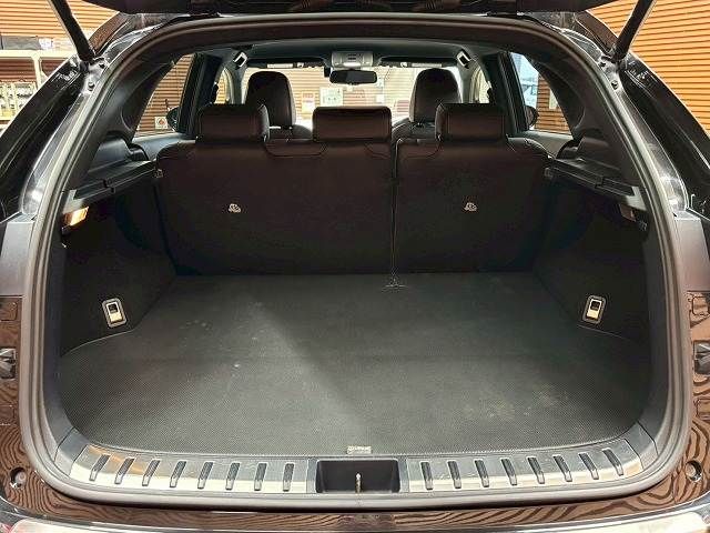 LEXUS NX300h