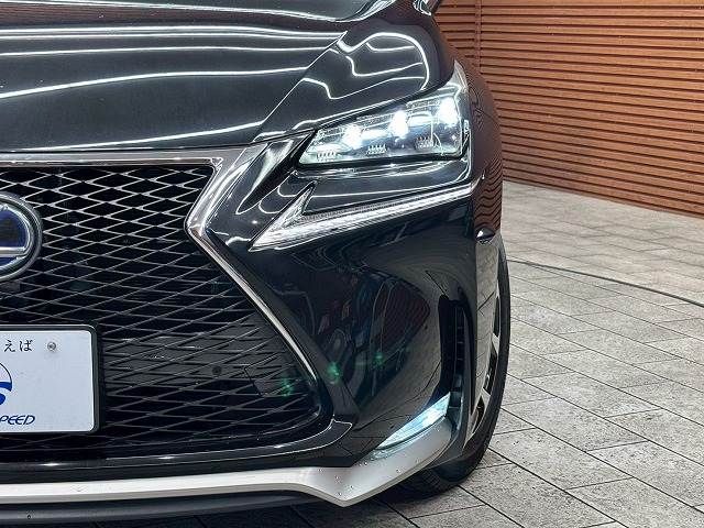 LEXUS NX300h