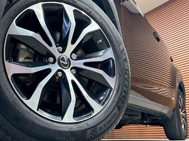 LEXUS NX300h