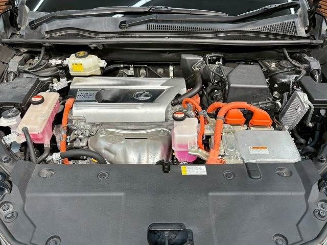 LEXUS NX300h