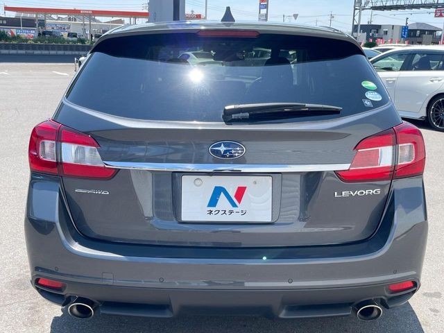 LEVORG