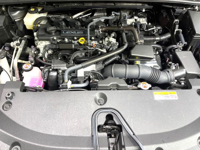 LEXUS LBX