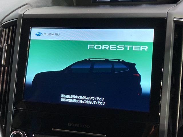FORESTER