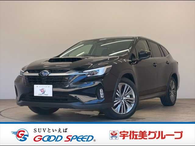 LEVORG LAYBACK