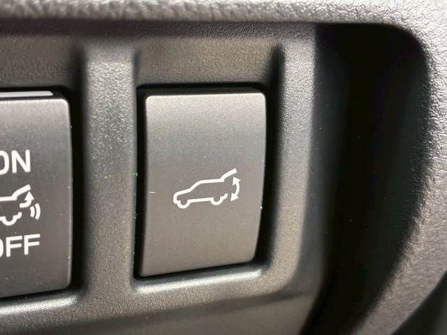 LEVORG LAYBACK