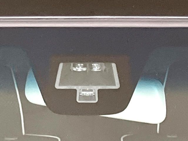 HUSTLER