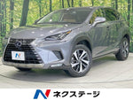 LEXUS NX300h