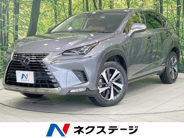 LEXUS NX300h