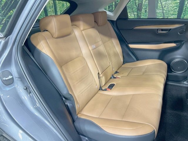 LEXUS NX300h