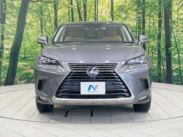 LEXUS NX300h