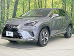 LEXUS NX300h