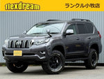 LANDCRUISER PRADO
