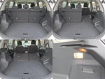 RAIZE HYBRID