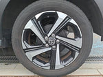 RAIZE HYBRID