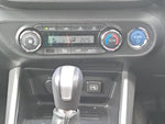 RAIZE HYBRID
