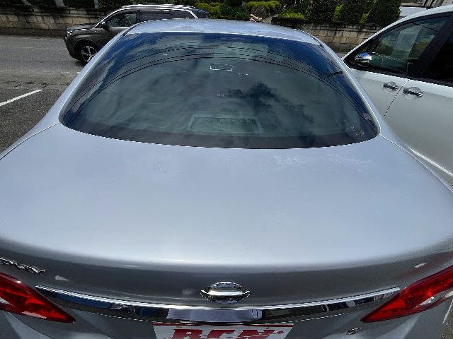 Sylphy