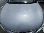Sylphy